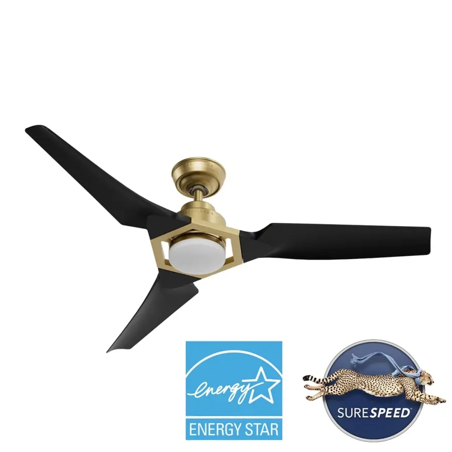 Eula 52" Outdoor Ceiling Fan with LED Light - Image 32