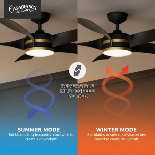 Julia Outdoor Energy Star DC Ceiling Fan with LED Light 52" - Image 13