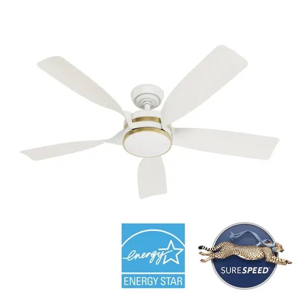 Julia Outdoor Energy Star DC Ceiling Fan with LED Light 52" - Image 30