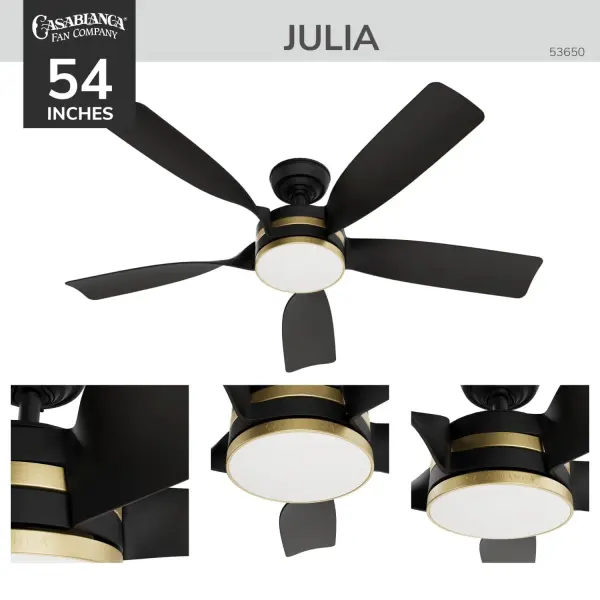 Julia Outdoor Energy Star DC Ceiling Fan with LED Light 52" - Image 4