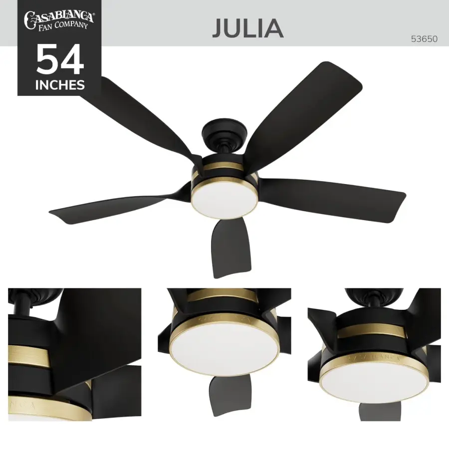 Julia Outdoor Energy Star DC Ceiling Fan with LED Light 52" - Image 4