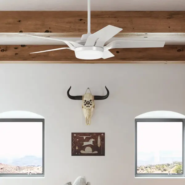 Correne 56" LED Ceiling Fan with Light - Image 10
