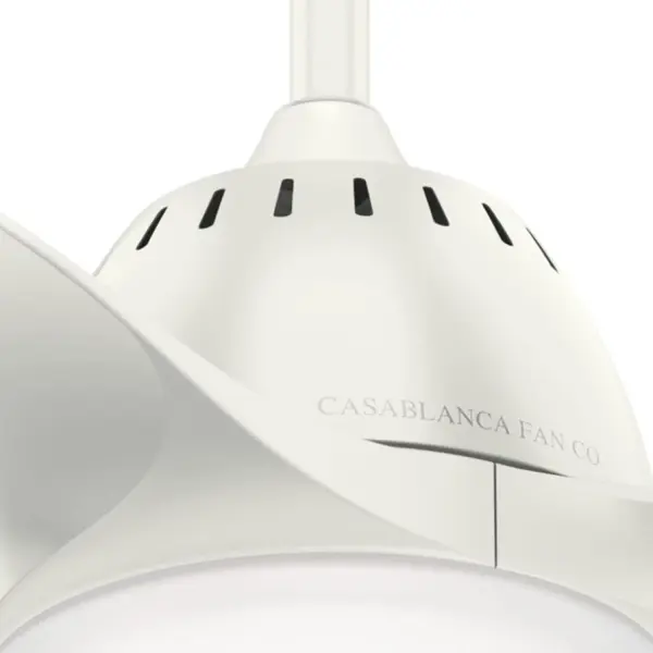 Wisp 44" LED Ceiling Fan with Light - Image 38