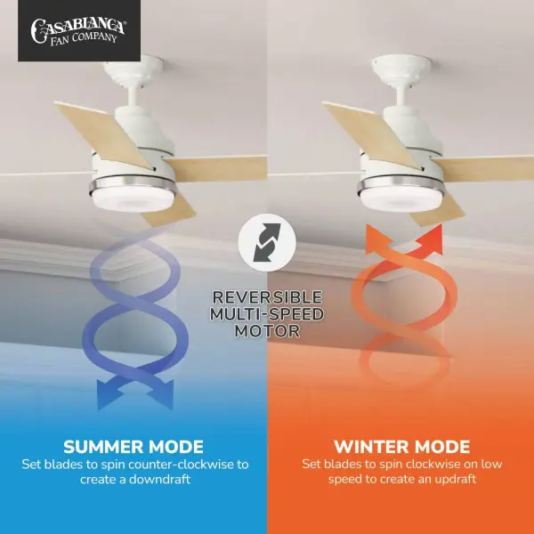 Elegant Transitional Fan with Whisper-Quiet Performance - Image 5