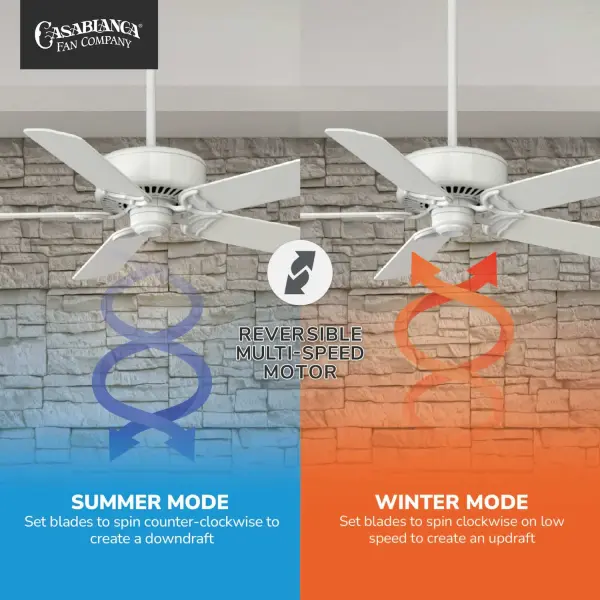 Casablanca Panama 54" DC Ceiling Fan with Remote - Image 22