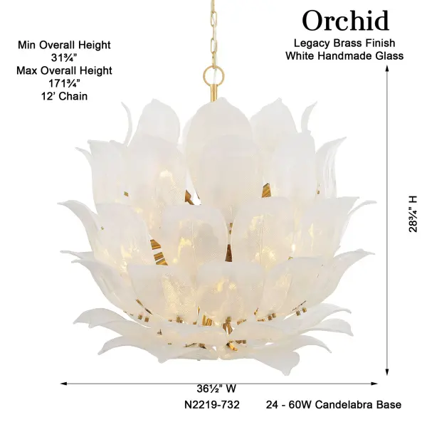 Orchid 35.5" 24-Light Pendant in Legacy Brass - Image 3