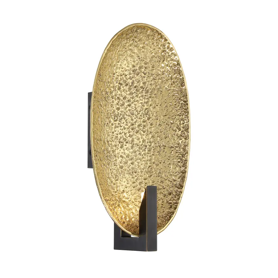 Daric 1-Light Wall Sconce in Polished Brass with Bronze