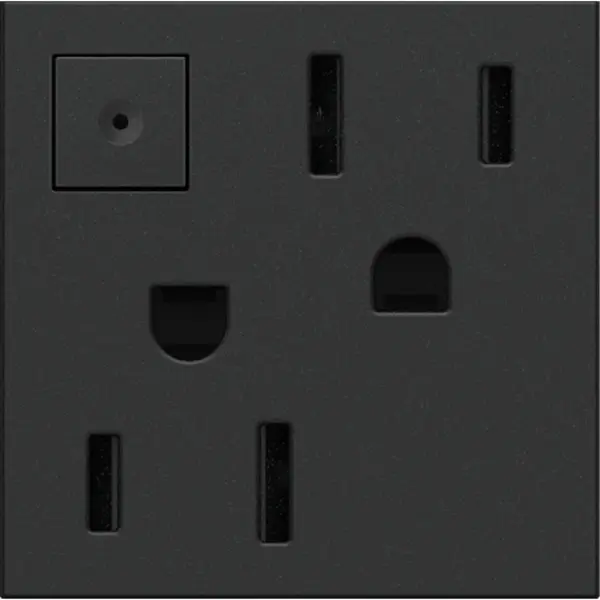 Add stunning, modern style with this outlet from the adorne Collection, while conserving energy when it's not in use. It allows you to stop the flow of power whenever you don't need it, for easy energy management. Made exclusively for use with screwless Wall Plates from the adorne Collection, sold separately. Collection: adorne Finish: Graphite Width: 2.66" Height: 1.77" Length: 1.73" Weight: 0.25 lb Country of Origin: China