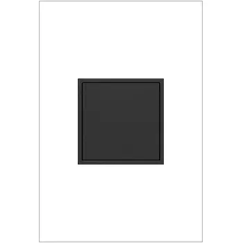The cleverest way to add power and style, the Pop-Out Outlet extends to offer 3-plug access, then uniquely disappears back into the wall with a simple push when not in use. Made exclusively for use with screwless Wall Plates from the adorne Collection, sold separately. Collection: adorne Finish: Graphite Width: 2.99" Height: 4.88" Length: 2.60" Weight: 0.60 lb Country of Origin: China