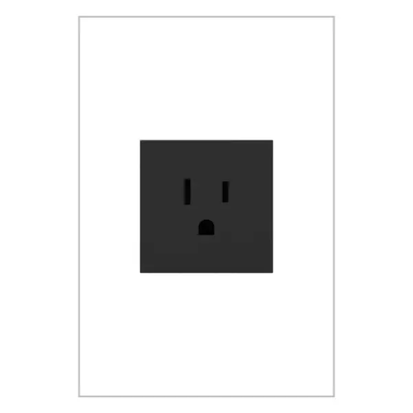 Designed with the same commitment to style and safety as the entire adorne Collection, this device is ideal as a dedicated outlet for large or stationary appliances, or in small or narrow areas where a single plug is needed. The single outlet features ""invisi-shutters"" for discreet tamper-resistance that keeps children safe without compromising on style.Made exclusively for use with screwless Wall Plates from the adorne Collection, sold separately. Collection: adorne Finish: Graphite Width: 2.66" Height: 1.77" Length: 1.73" Weight: 0.14 lb Country of Origin: China