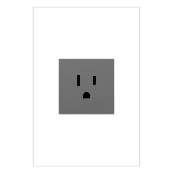 Designed with the same commitment to style and safety as the entire adorne Collection, this device is ideal as a dedicated outlet for large or stationary appliances, or in small or narrow areas where a single plug is needed. The single outlet features ""invisi-shutters"" for discreet tamper-resistance that keeps children safe without compromising on style.Made exclusively for use with screwless Wall Plates from the adorne Collection, sold separately. Collection: adorne Finish: Magnesium Width: 2.66" Height: 1.77" Length: 1.73" Weight: 0.14 lb Country of Origin: China
