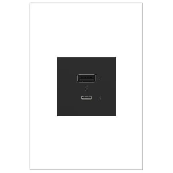 Charge phones, tablets and more up to 40% faster, with Ultra-Fast USB Outlets from the adorne Collection. Made to deliver a leading 6 amps of power, it features two built-in USB connections, including one to fit USB Type-C devices, and provides a fast, future-proof solution for convenient in-wall charging without an adapter. Easily replacing traditional outlets in as little as ten minutes, this Ultra-Fast USB Outlet transforms your space with modern functionality and the unique, contemporary aesthetic of adorne. Made exclusively for use with screwless Wall Plates from the adorne Collection, sold separately. Collection: adorne Finish: Graphite Width: 1.77" Height: 2.65" Length: 1.70" Weight: 0.20 lb Voltage: 125.00 V Material: Polycarbonate Country of Origin: China Manufacturer Warranty: Limited Lifetime