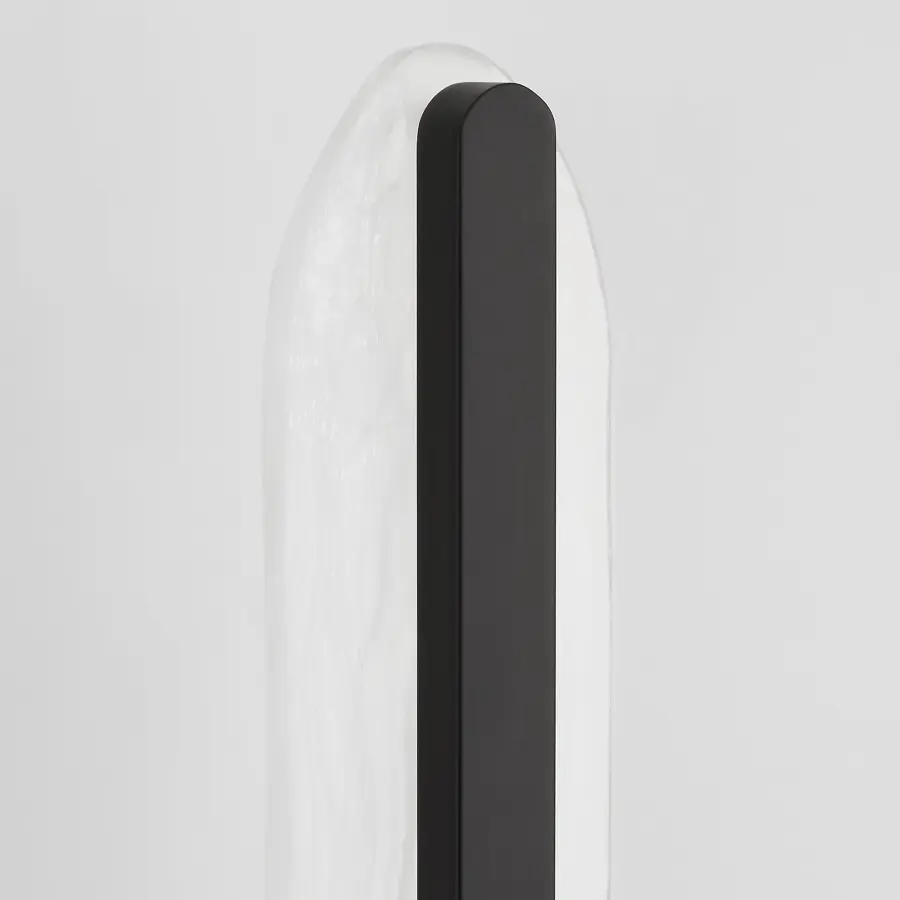 Avian 1-Light Wall Sconce in Black - Image 5