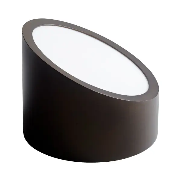 ZEEPERS Wall Sconce/Ceiling Mount - Polished Nickel - Image 1