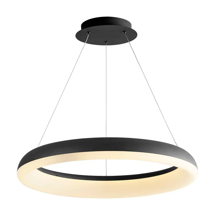 Roswell 24" LED Pendant in Black - Image 2