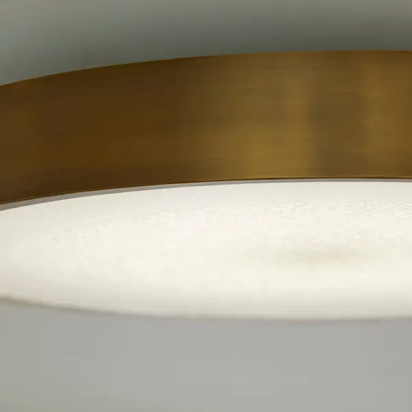 Floe 24" LED Ceiling Mount in Brushed Brass - Image 6