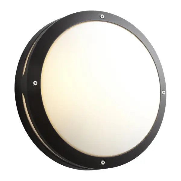 The REGIO combines industrial strength with contemporary aesthetics, delivering 676 lumens through energy-efficient dual LED arrays. Wet-rated construction and dimmable functionality make it ideal for any outdoor application. - alternate view