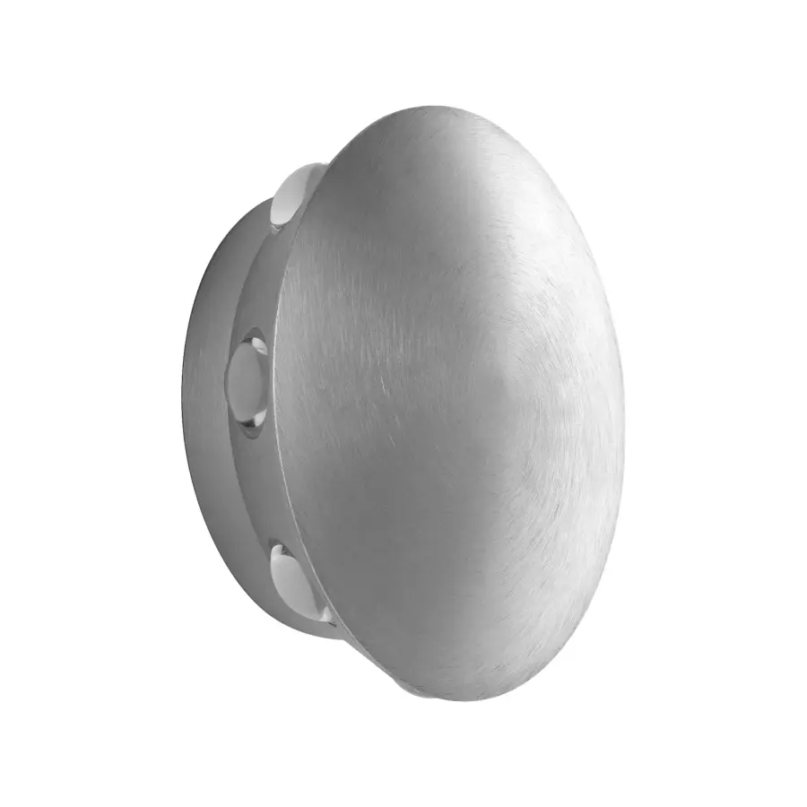 Rickie LED Outdoor Wall Light - Brushed Aluminum - Image 1
