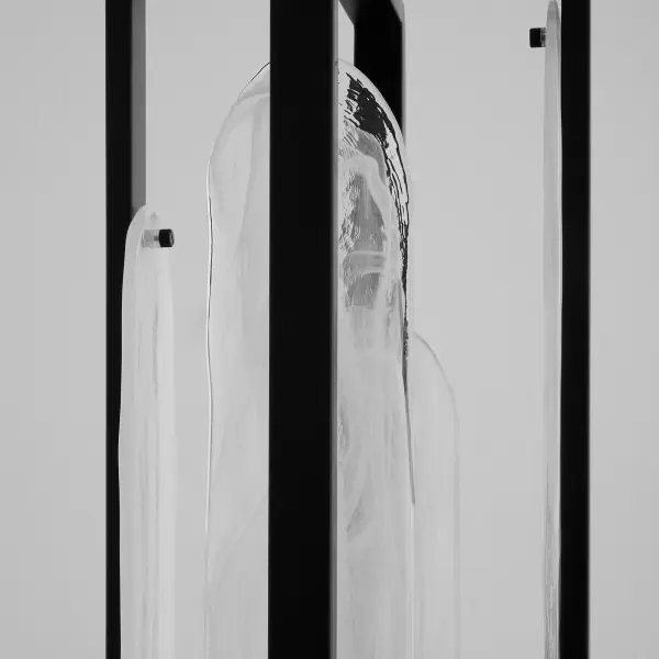 Avian 4-Light Pendant in Black - Image 4