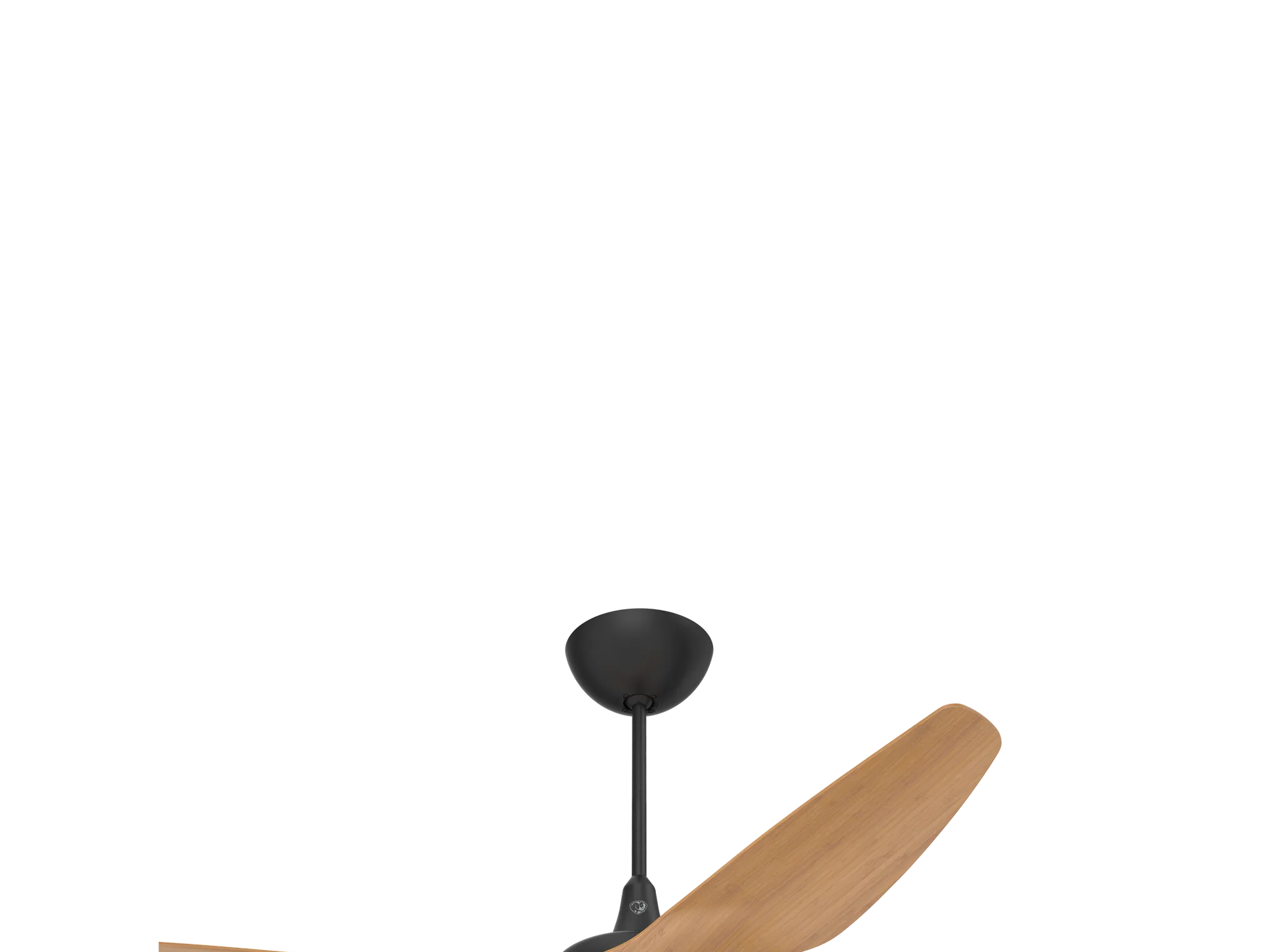 HAIKU-DOWNRODS