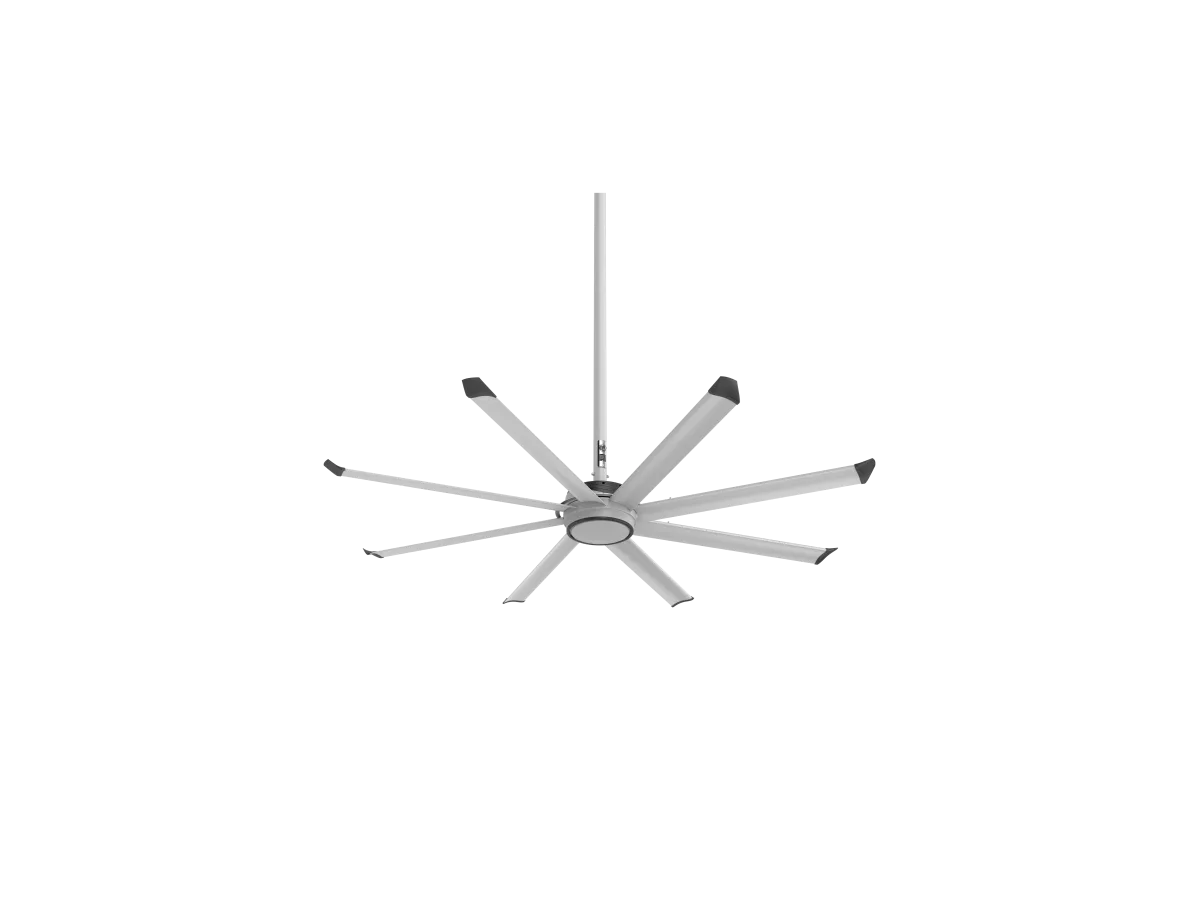 ESSENCE-CEILING-F