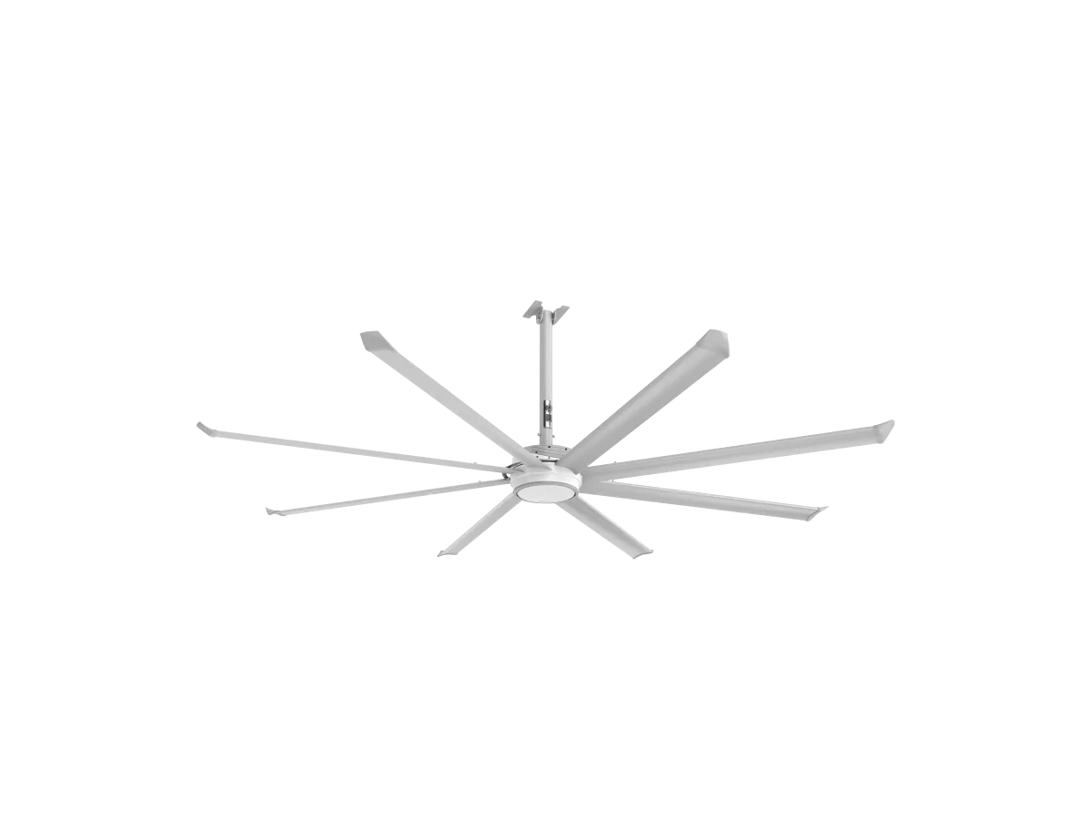 ESSENCE-CEILING-F