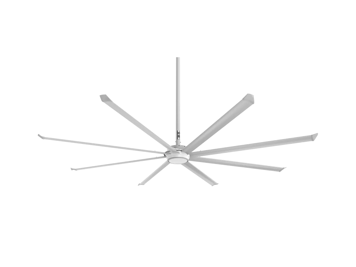 Essence Ceiling Fan