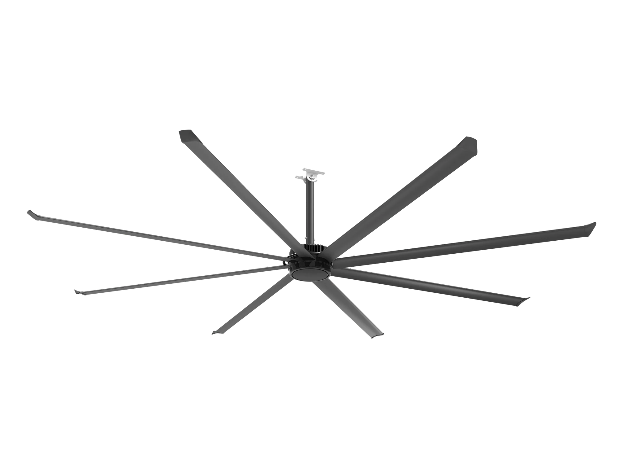 ESSENCE-CEILING-F