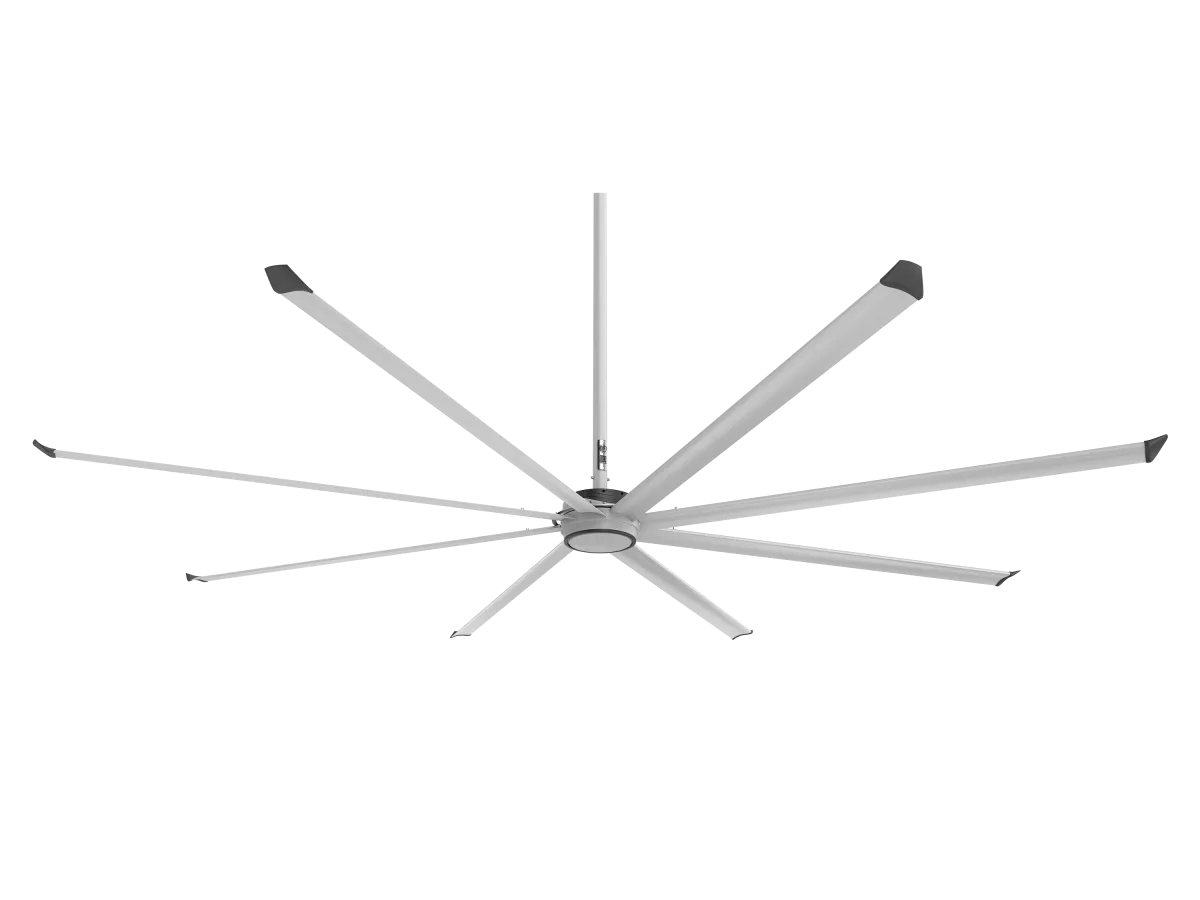 ESSENCE-CEILING-F