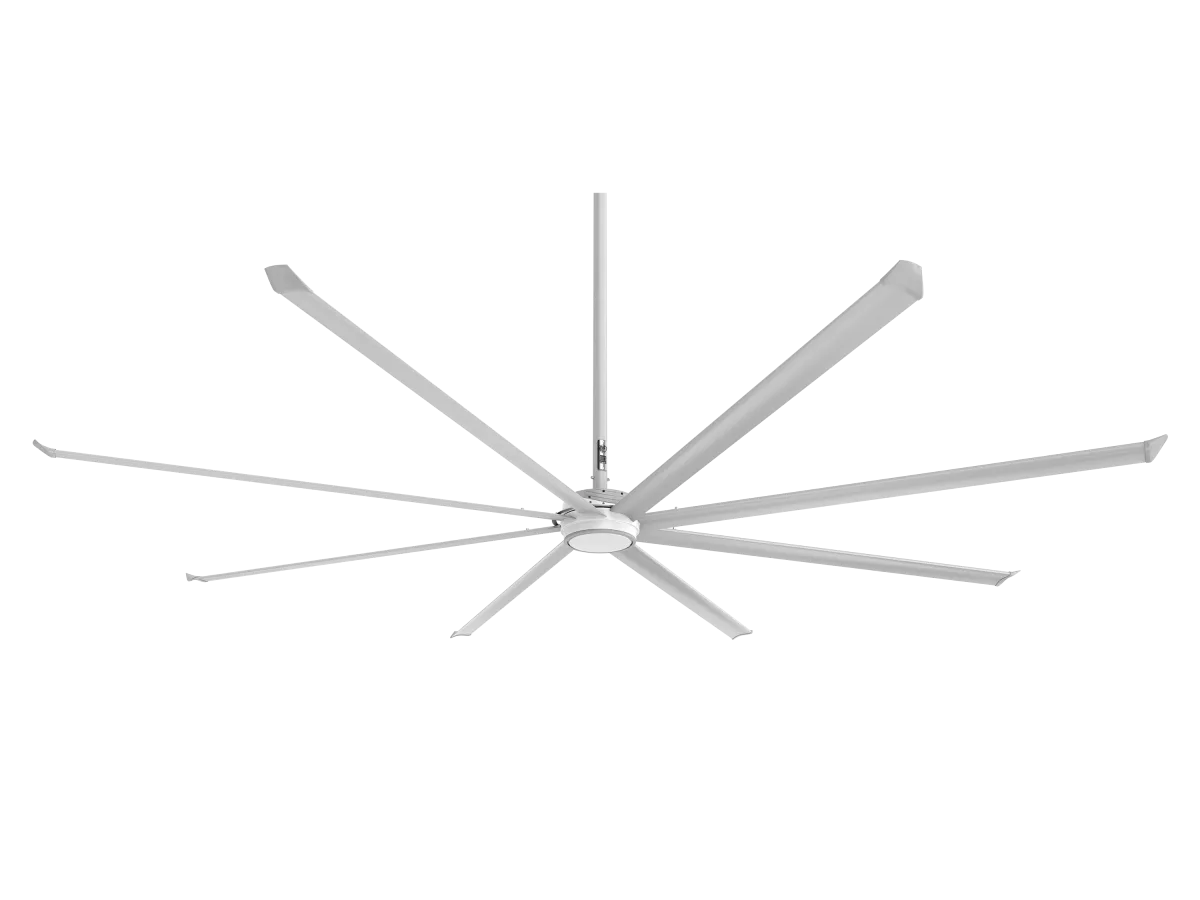 ESSENCE-CEILING-F