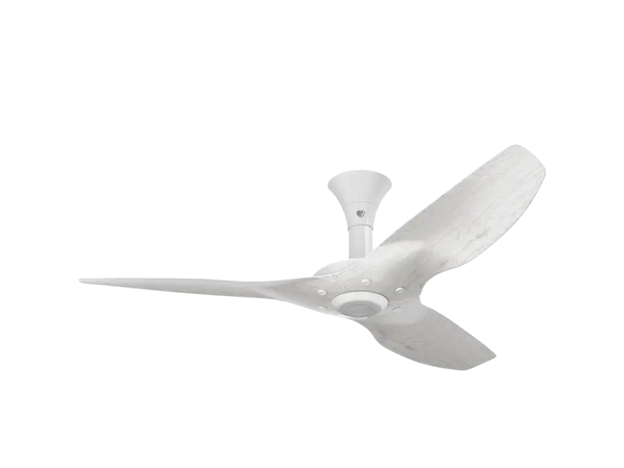 Haiku 52" Outdoor Ceiling Fan with WiFi